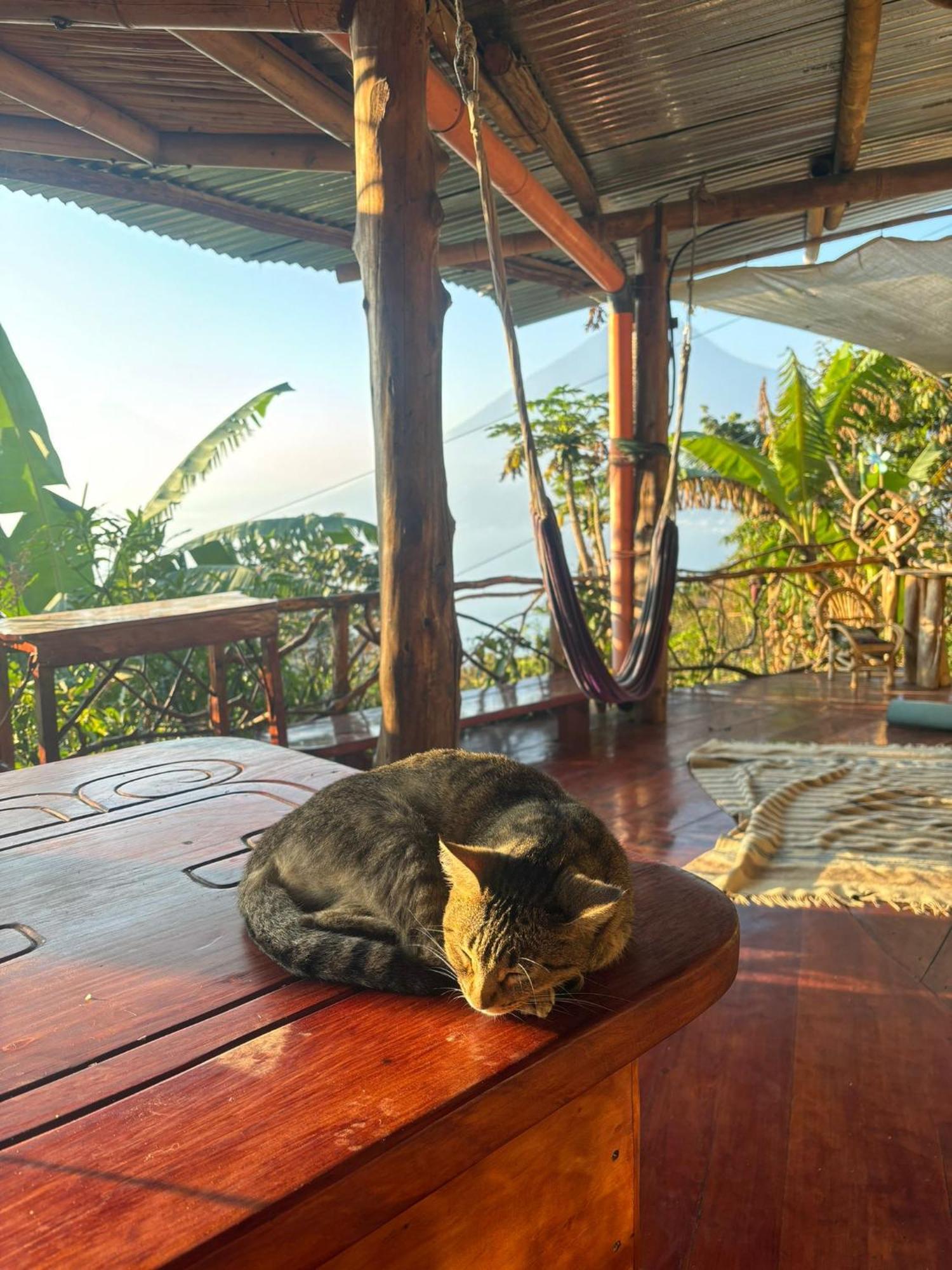 Earthship Atitlan Guest House Сан Маркос Ла Лагуна Екстериор снимка